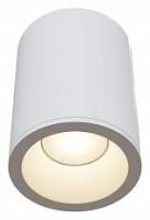 Накладной светильник Maytoni Zoom C029CL-01W. Фото №1