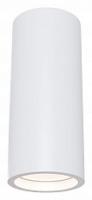 Накладной светильник Maytoni Conik gyps C004CW-01W