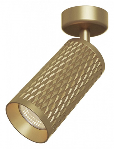 Спот Maytoni Focus Design C034CL-01G. Фото №1