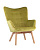 Кресло Манго оливковый
