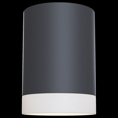 Накладной светильник Maytoni Pauline C008CW-01B. Фото