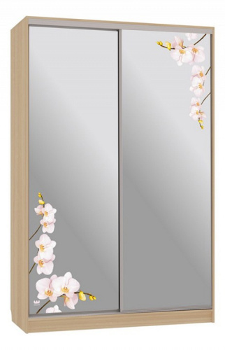 Рио 4-600 орхидеи (полки справа) дуб сонома. Фото №1