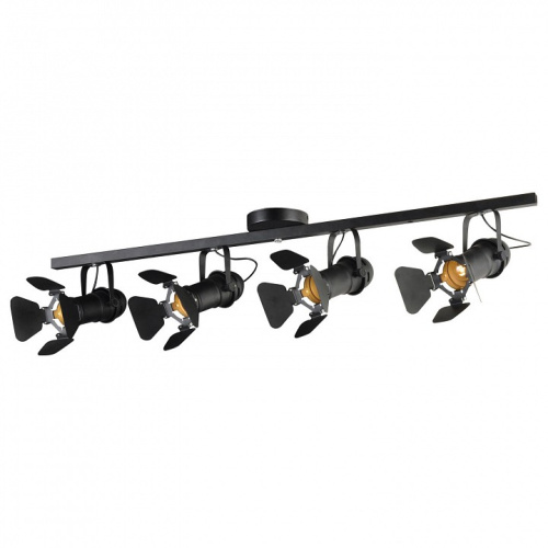 Спот Lussole Thornton GRLSP-8076. Фото №1