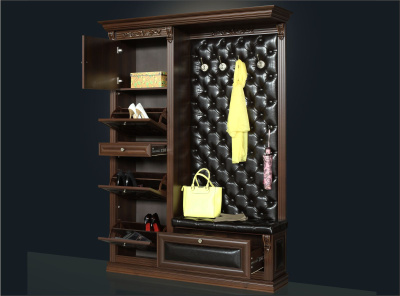 Прихожая Благо 5 Б 5.16-21. Фото