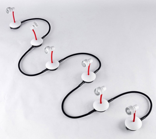 Спот Lussole Bay Shore LSP-9818-06. Фото №1